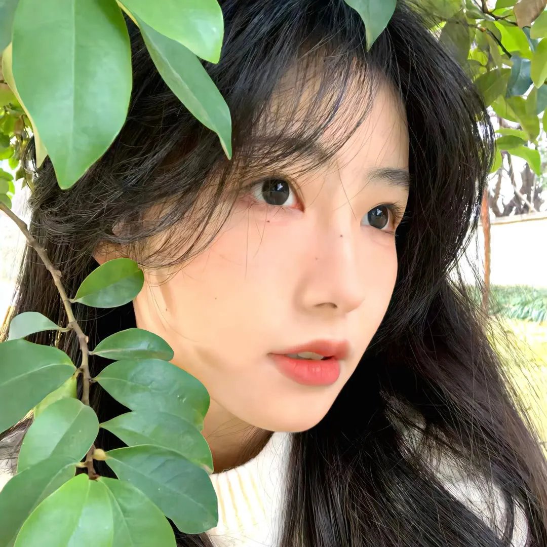 青春韶华