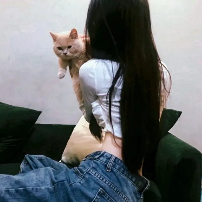 荒唐妙计保娇妻